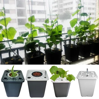 Самодельное гидропонное ведро для овощей на балконе, выращивание огурцов, томатов, Гидропонная система для выращивания растений в домашних условиях Оборудование для беспочвенного выращивания