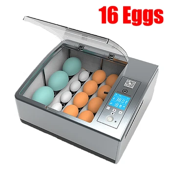 Автоматические инструменты для птиц, Инкубационный брудер для яиц, Перепелиный Инкубатор для инкубации цыплят, Дисплей Инкубационного оборудования 16