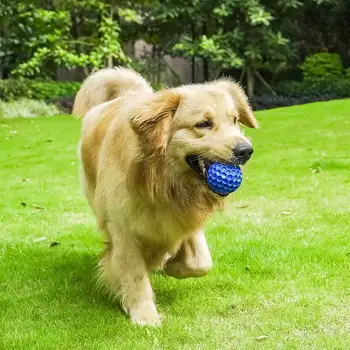 Игрушечный мяч для собак, щенячий футбольный мишка, Эластичный, устойчивый к укусам мяч для прорезывания зубов, Резиновый мяч для царапания краев, Игрушечный мяч